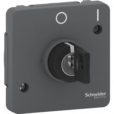 Выключатель Schneider Electric Mureva Styl, способ управления ключем, скрытый, универсальный монтаж, цвет антрацит