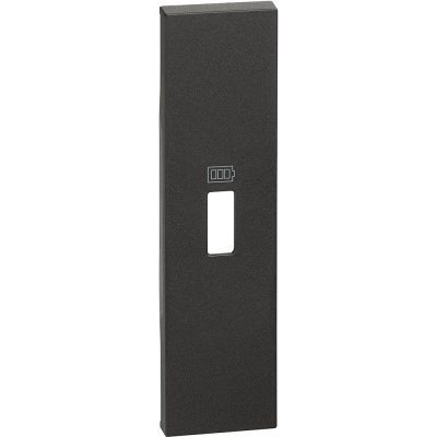 BT Living now Черный Лицевая панель для зарядных устройств USB 1 мод