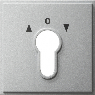 Gira Накладка выключателя с ключом