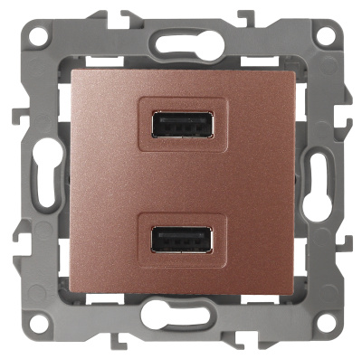ЭРА 12-4110-14 Медь Устройство зарядное USB, 230В/5В-2100мА, IP20, 12