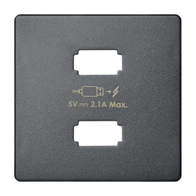 Simon 82 Detail Графит Накладка для зарядного устройства 2*USB